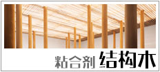 粘合剂 （结构木）
